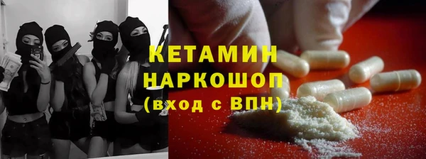 шишки Арсеньев