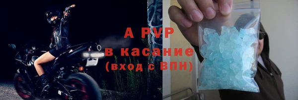 индика Балабаново