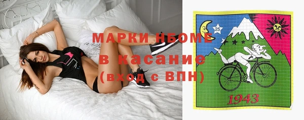индика Балабаново