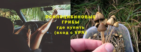 гидра Алексеевка